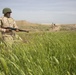 Iraqi Soldiers Conduct Squad Movement Drills