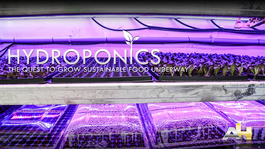 Hydroponics