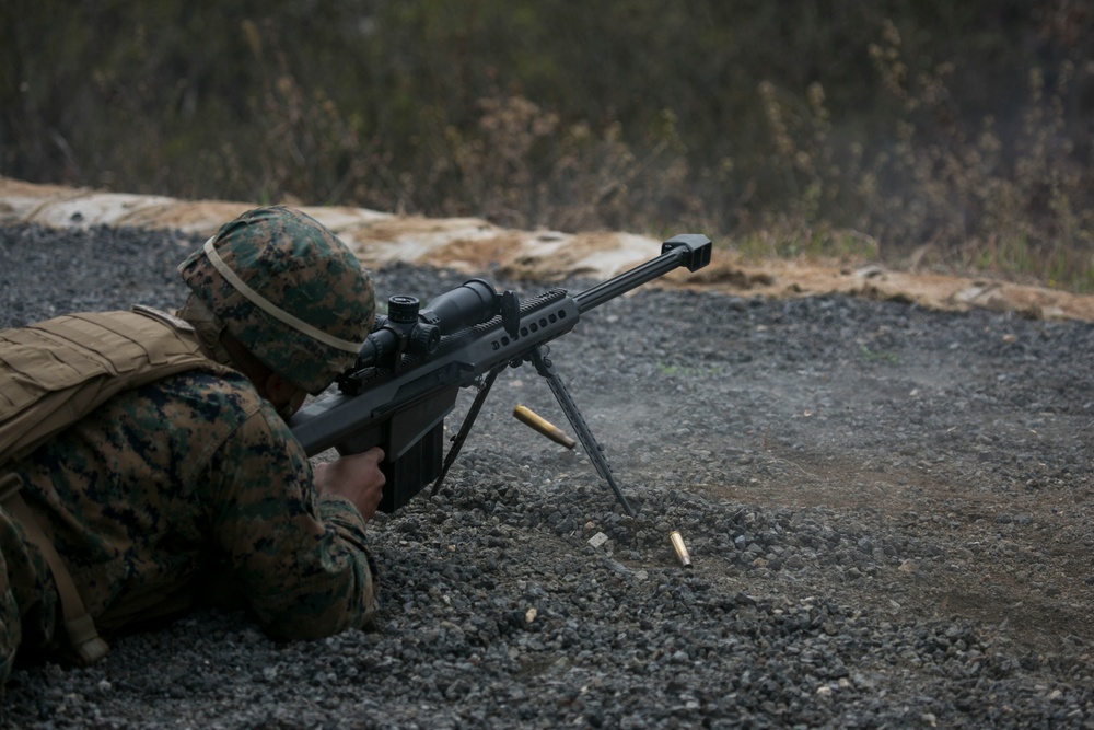 Bilateral Sniper Training