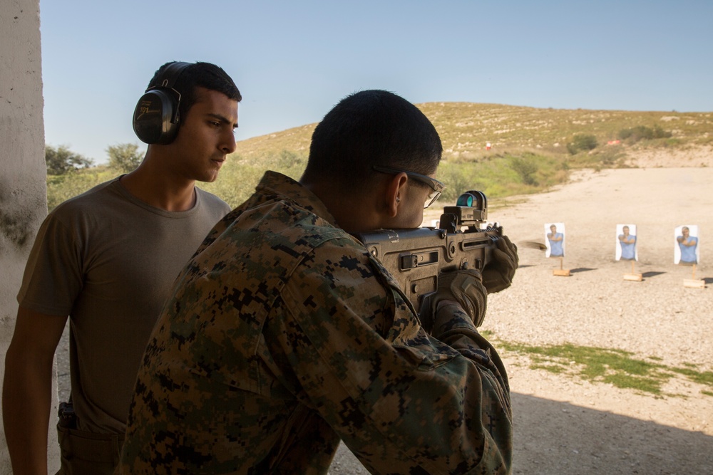 Juniper Cobra- IDF weapons shoot