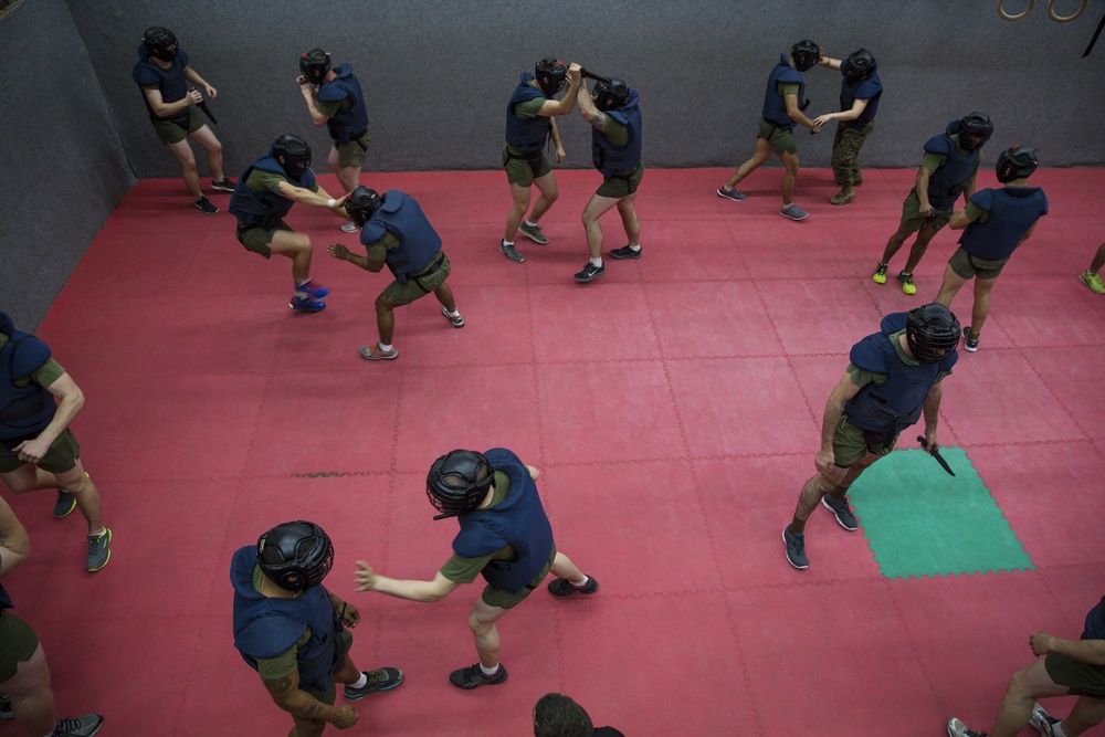 Juniper Cobra- Krav Maga knife attacks