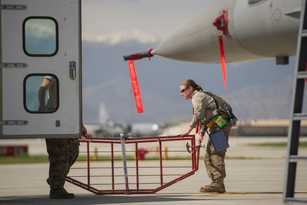 Falcons tune up for flight