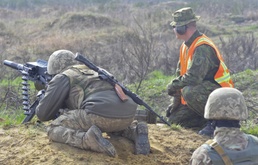 Automatic grenade launcher