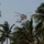 SD visits Goa, India