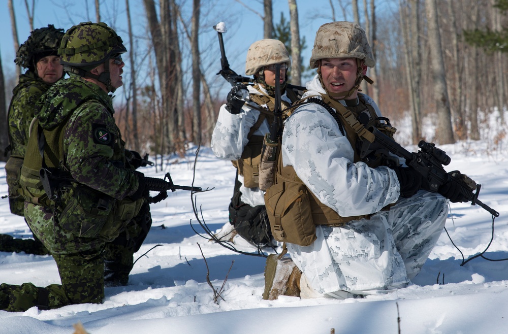 3/25 Marines take on exercise Arctic Eagle