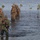 Amphibious Marines