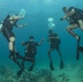 Sri Lanka Dive Exchange