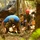 DPAA mission in Vietnam