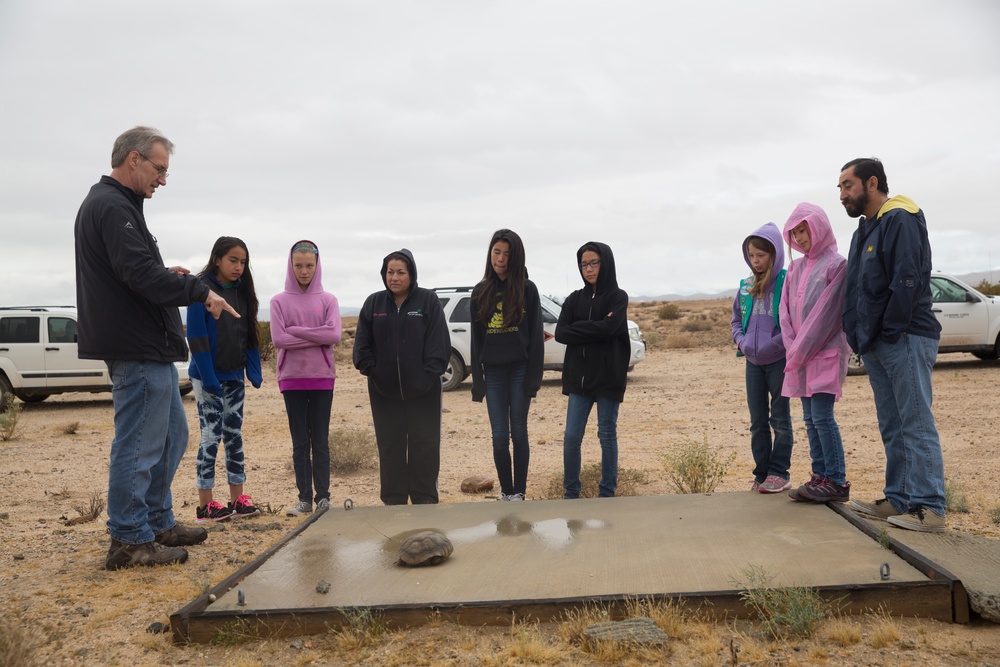 NREA teaches girl scouts about desert tortoise