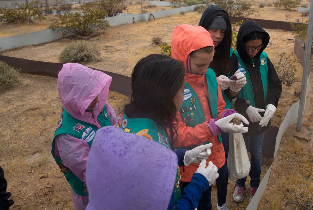 NREA teaches girl scouts about desert tortoise