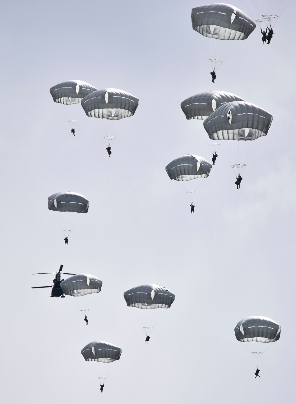 Spartan Paratroopers Jump with &quot;Sugar Bears&quot;