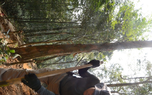 Recovery Operations 16-3LA