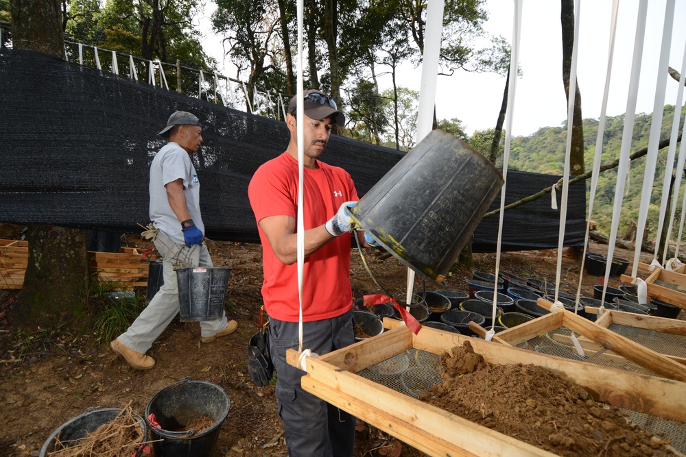 Recovery Operations 16-3LA