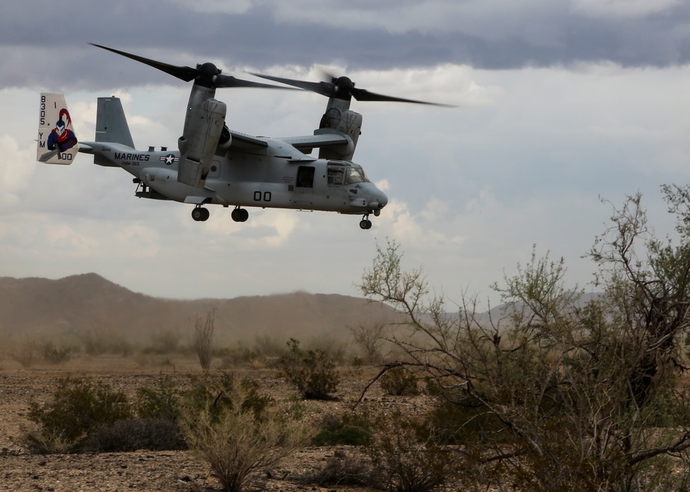 Assault Support Tactics 1