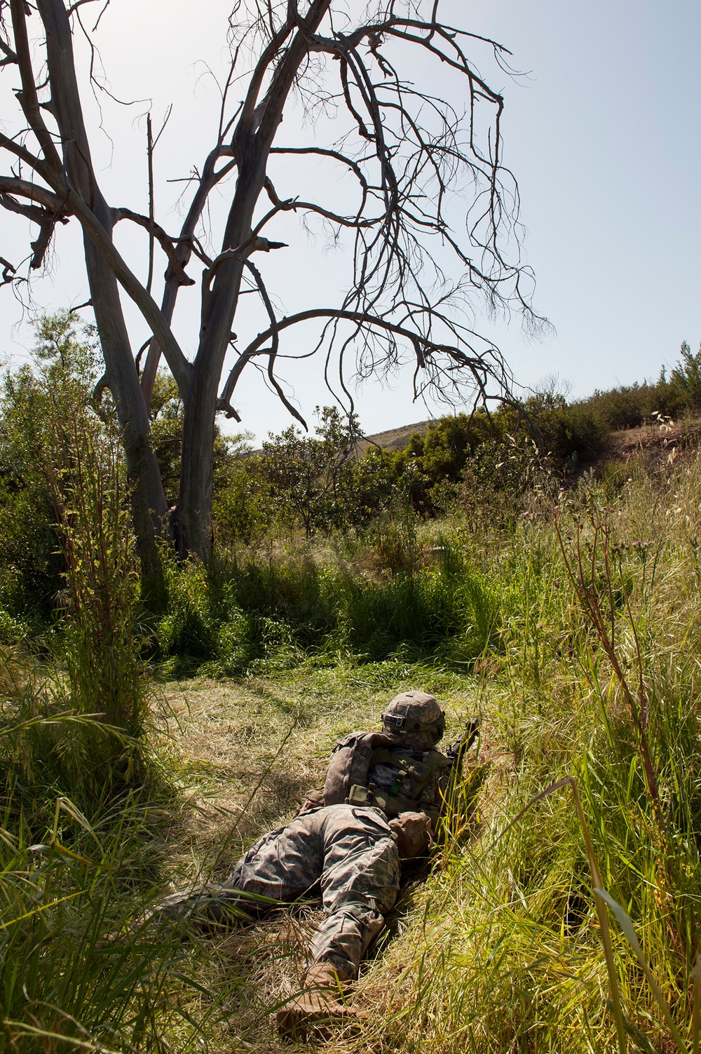 U.S military Combat Cameramen train in field exercise