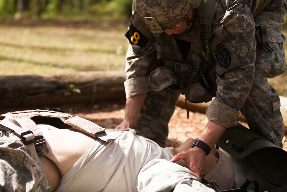 Casualty Evacuation Challenge BRC 2016