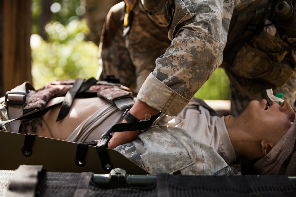 Casualty Evacuation Challenge BRC 2016