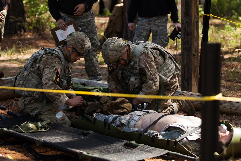 Casualty Evacuation Challenge BRC 2016