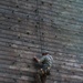 Army Ranger climbs a wall during competition