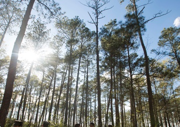 24th MEU participates in COMMEX and CPX