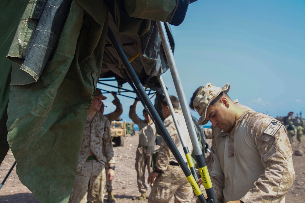 13th MEU sustains training in Djibouti