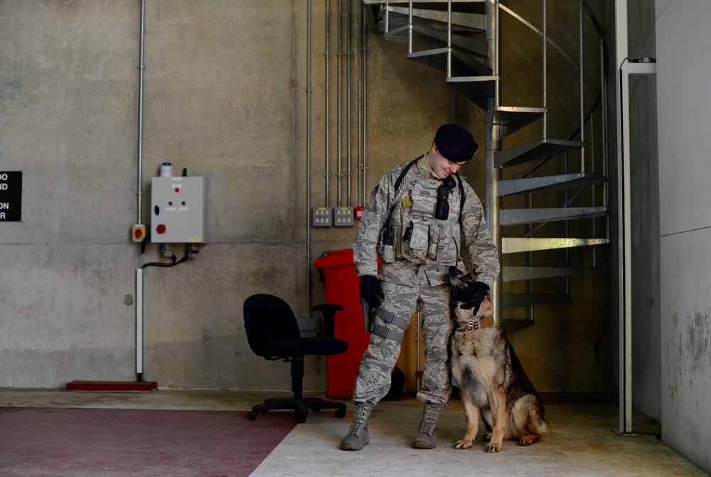 K-9 remains resilient, bonds with handler