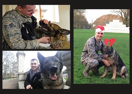 K-9 remains resilient, bonds with handler