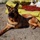 Military working dog receives Dickin Medal for heroism