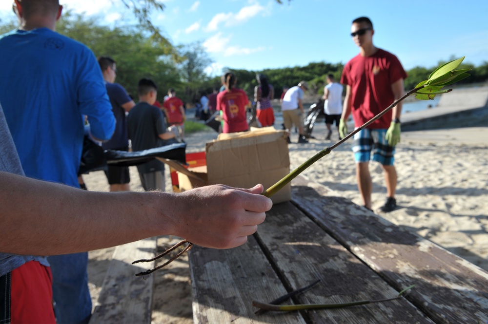 Volunteers Target Rubbish, Green Waste, and Invasive Plant Species during Pearl Harbor Beach Clean Up