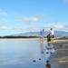 Volunteers Target Rubbish, Green Waste, and Invasive Plant Species during Pearl Harbor Beach Clean Up