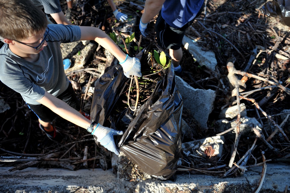 Volunteers Target Rubbish, Green Waste, and Invasive Plant Species during Pearl Harbor Beach Clean Up