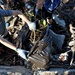 Volunteers Target Rubbish, Green Waste, and Invasive Plant Species during Pearl Harbor Beach Clean Up