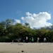 Volunteers Target Rubbish, Green Waste, and Invasive Plant Species during Pearl Harbor Beach Clean Up