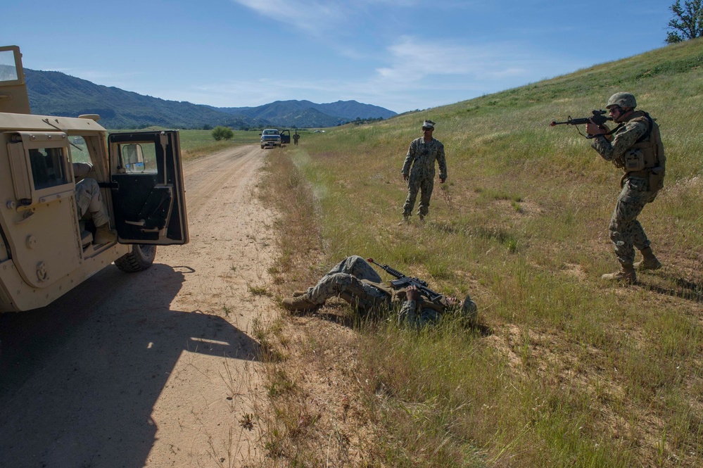 NMCB 5’s Field Training Exercise