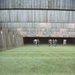 A co AFNORTH Bn Soldiers Qualify with M9 Pistols at a Dutch Range