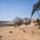 Boom: 13th MEU Marines fire the big guns