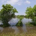 2016 Southeastern Texas Floods