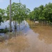 2016 Southeastern Texas Floods