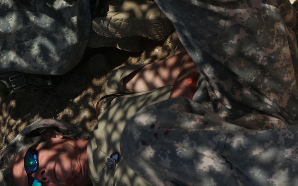 Simulated Casualty