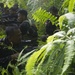 US Forces Executes a Combined-Joint Operation with their Philippine Counterparts