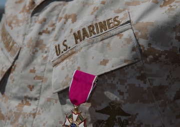 Fair winds, following seas: ‘Coyote’ director retires aboard Combat Center