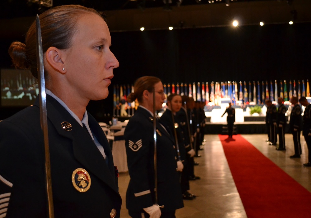 The lights shine on ANG Honor Guard members