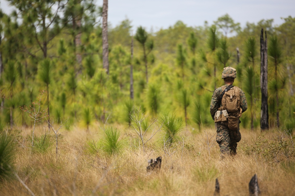 3rd Battalion, 8th Marines begin field exercise with patrolling operations