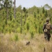 3rd Battalion, 8th Marines begin field exercise with patrolling operations