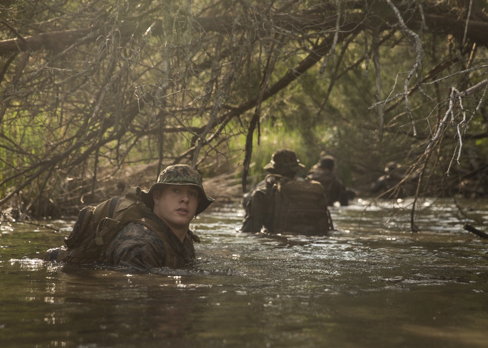 Attack Evolution: 2/8 Marines patrol, ambush and attack