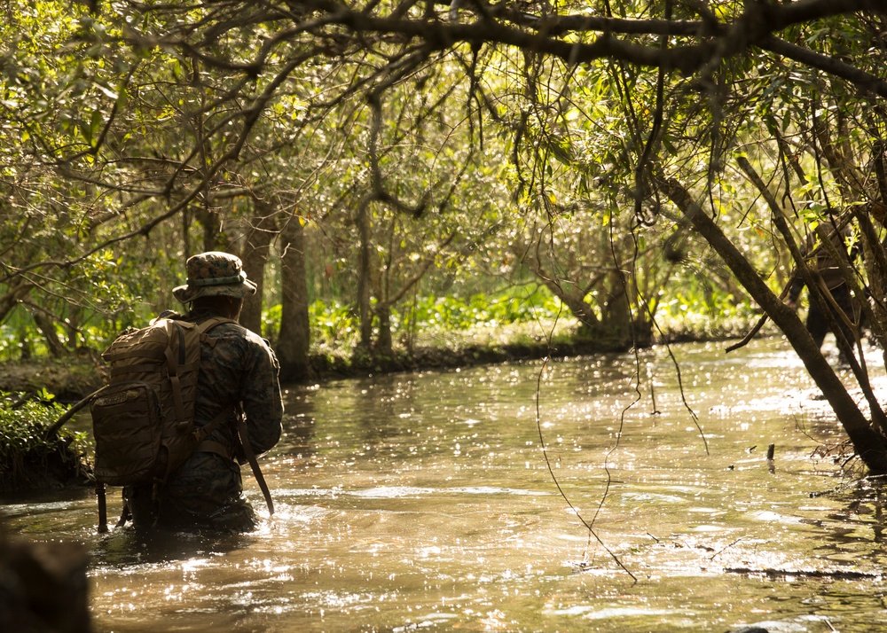 Attack Evolution: 2/8 Marines patrol, ambush and attack