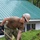 NMCB 4 DET Panay NMCB 4 DET Panay