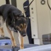 Air Force MWD handlers visit Japan K-9 training center