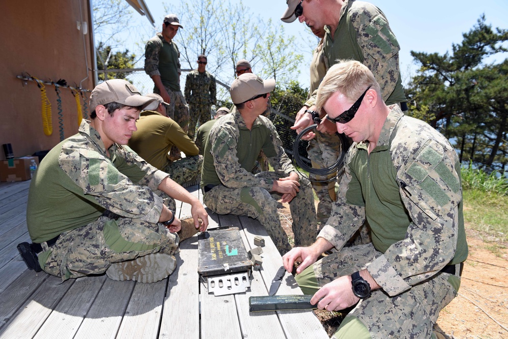 Foal Eagle, SALVEX Korea 2016