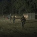 NMCB 5's Camp Anderson conducts a ADR during FTX